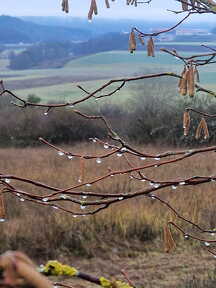 Landschaft Dertingen 2025-2026